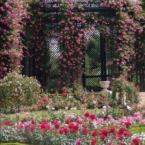 Meet your Posher, Whitney